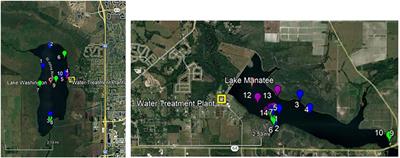 Detection and Occurrence of Microcystins and Nodularins in Lake Manatee and Lake Washington-Two Floridian Drinking Water Systems